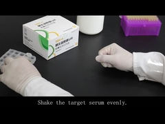 Szybki test do wykrywania przeciwciał MP-IgM (złoto koloidalne)