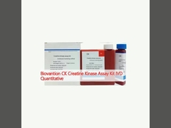 Biovantion CK Creatine Kinase Assay Kit IVD ilościowy