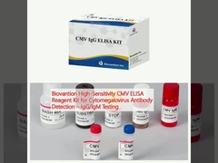 Biovantion High-Sensitivity CMV ELISA Reagent Kit do wykrywania przeciwciał przeciw cytomegalovirusom