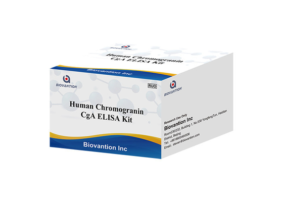 Zestaw testowy CgA ELISA RUO Ludzka chromogranina A Zestaw Elisa Białko wydzielnicze przysadki I