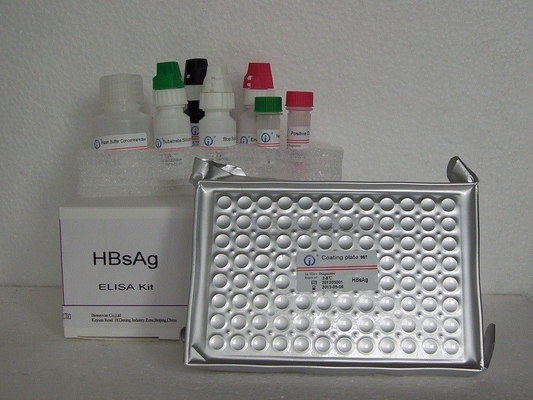 HBsAg ELISA Test Kit Reagent Enzym-Linked Immunosorbent Assay
