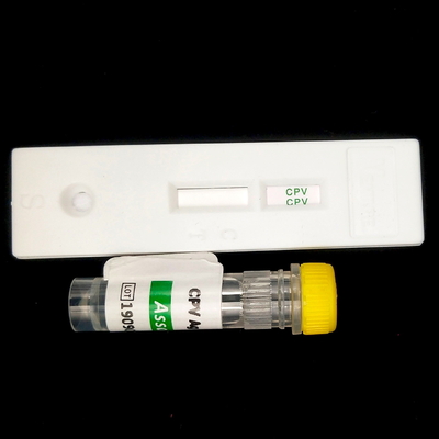 Serum Hormony stymulujące tarczycę Tsh Elisa Reagent Kit dla 96 osób