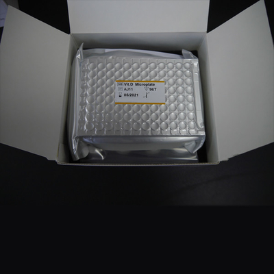 Witamina D Elisa Test Kit For Research Setting