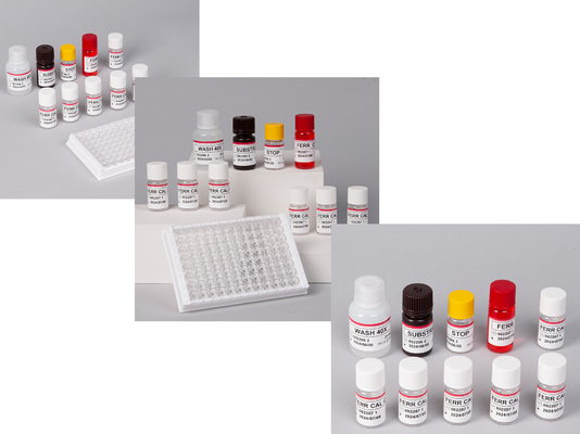 Laboratorium lub szpital Wysokiej Precyzji Human Ferritin FE ELISA TEST KIT