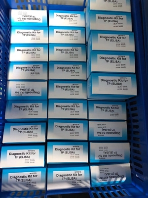 Zestaw badawczy ELISA anty- TP Treponema pallidum Serum / Plazma Diagnoza medyczna