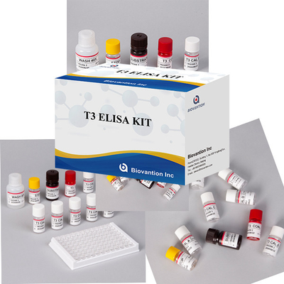 Laboratorium Szpital Klinika Szeroko stosowany zestaw testowy T3 trijodotyroniny ELISA