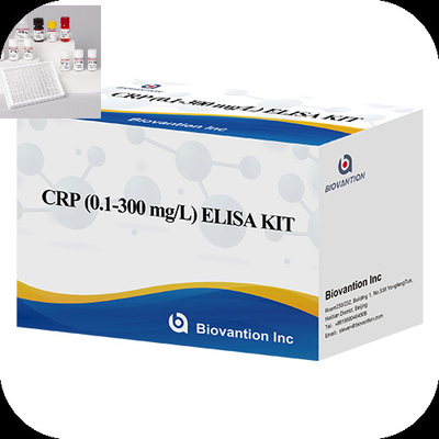 Zestaw badawczy CRP Elisa