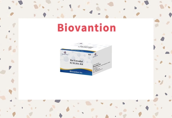 Specyfika Biovantion Szczur Estradiol E2 Elisa Test Kit - 96 testów Przechowywanie w temperaturze 2-8.C