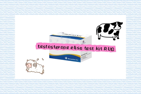 Zestaw badawczy ELISA PROGESTERON RUO Zestaw badawczy ELISA Zestaw badawczy produktu związanego z enzymem