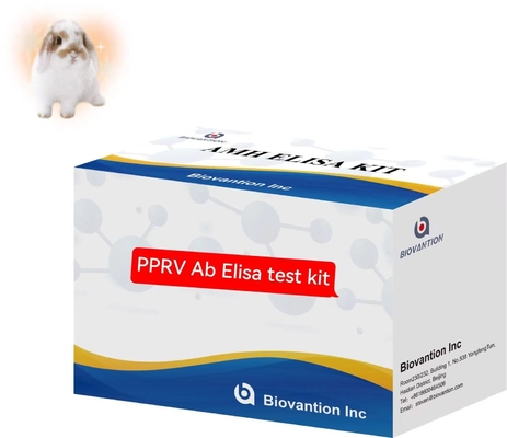 Peste Des Petits Przeżuwacze PPRV Ab ELISA Kit Kit badania weterynaryjnego