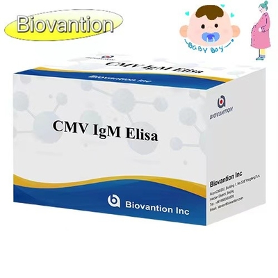 CMV IgM ELISA Kit Wysokiej dokładności Test profilaktyczny kobiet w ciąży