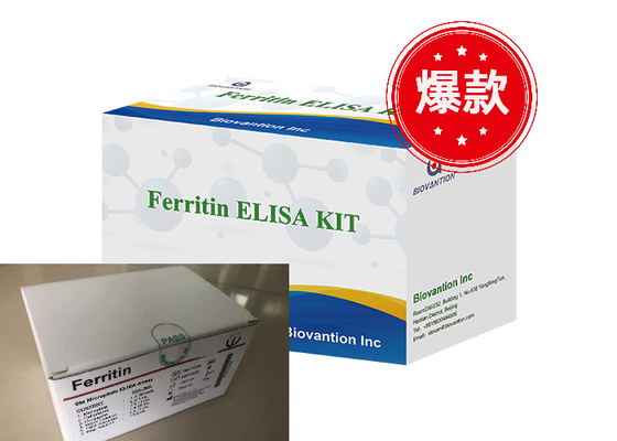 Ferritin Elisa Test Kit Produkty związane z enzymem Czas transportu krótki