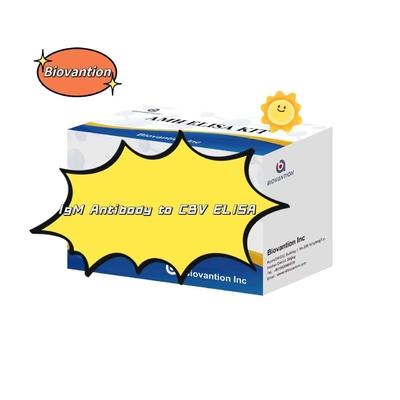 Zestaw diagnostyczny dla przeciwciał IgM do CBV zestaw testowy Elisa 50 μL serum Diagnostyka medyczna