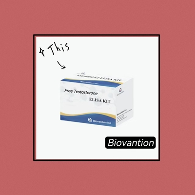 Testosteron wolny Test ELISA Test Kit Competitive-ELISA Principle