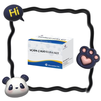 Human TLR4 RUO ELISA Assay Kit Do Diagnozy Medycznej RUO Do Badania