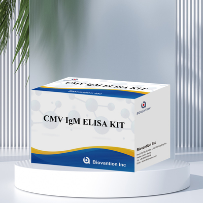 Test ELISA jakościowy IgM makrofagów IVD Zestaw eksperymentalny Wysoka wrażliwość