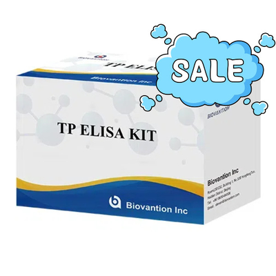 TP (Treponema pallidum) Ab ELISA Test Kit Syfilis SYP Immunosorbent związany z enzymem