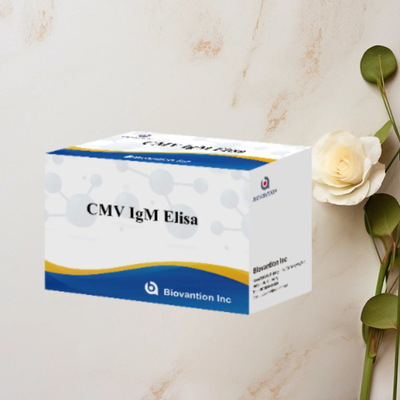 CMV IgM ELISA Kit Wysokiej dokładności Test profilaktyczny kobiet w ciąży