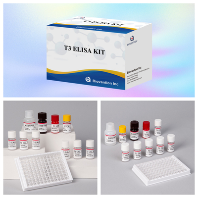 Dostosowalny zestaw badawczy T3 Elisa do dokładnej ilościowej oceny biomarkerów