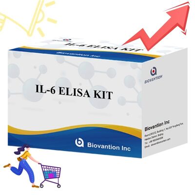 IL-6 Interleukin-6 Human ELISA Kit z dokładnością 99% 24 miesiące trwałości i 96 testów/kit