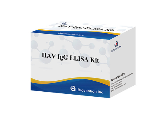 HAV IgG Elisa Kit Zestaw diagnostyczny przeciwciał dla wirusa zapalenia wątroby typu A