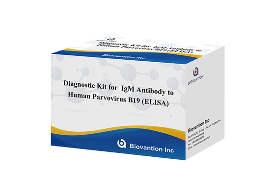 Przeciwciało do ludzkiego parworyusu B19 IgM ELISA Test Kit Diagnostyczny Kit