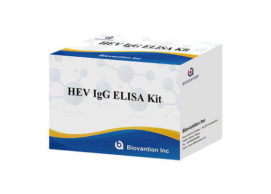 Zestaw diagnostyczny HEV Human Igg Elisa dla przeciwciał IgG przeciwko wirusowi zapalenia wątroby typu E