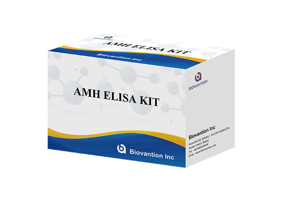 Laboratorium lub szpital Wysokiej Precyzji Ludzki Hormon Antymullerowy AMH ELISA
