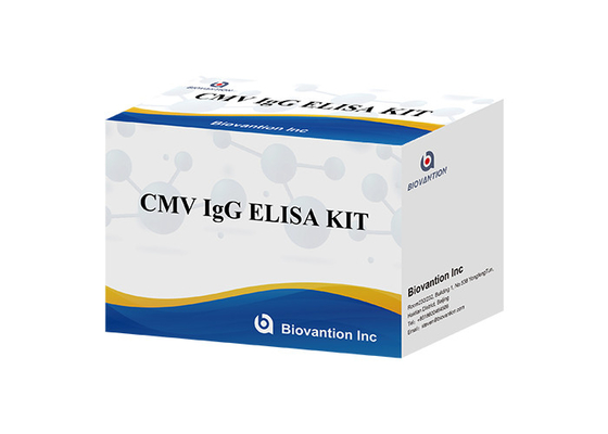 Laboratorium lub szpital wysokiej dokładności CMV IgG ELISA TEST KIT Elisa Test Kit