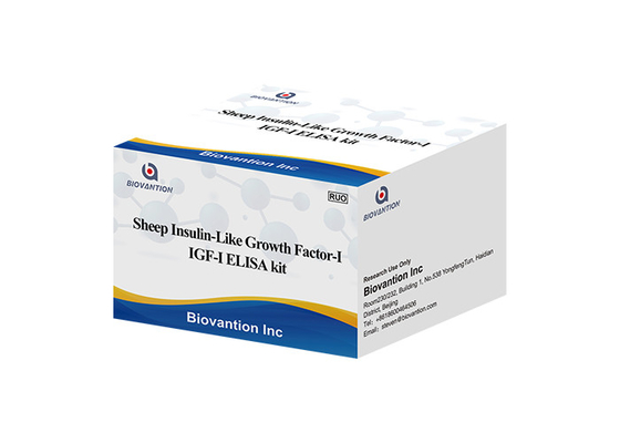 Owce Igf1 Elisa Kit Insulinopodobny czynnik wzrostu I Somatomedin