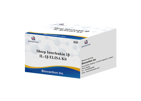 Owcza interleukina 1 Beta Elisa Kit IL1F2 ELISA RUO Test Kit Il1b Elisa Kit