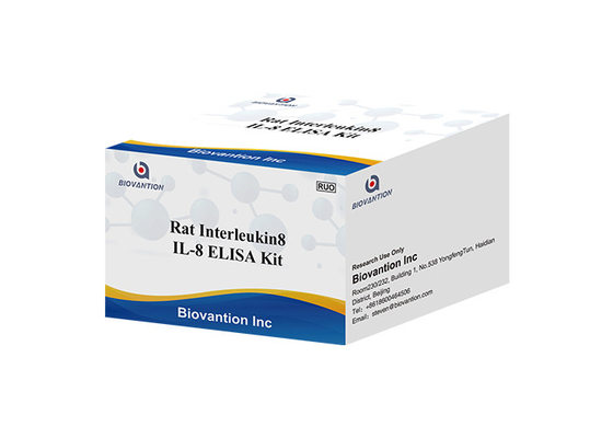 Szczur IL-8 Interleukina 8 Elisa Kit CXCL8 Elisa Test Kits Chemokine (C-X-C Motif) Ligand 8