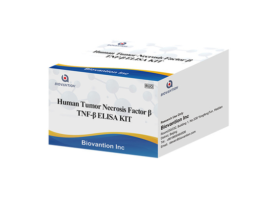 TNFB TNFSF1 Limfotoksyna Alpha LTA ELISA ZESTAW Ludzki czynnik martwicy nowotworu Beta