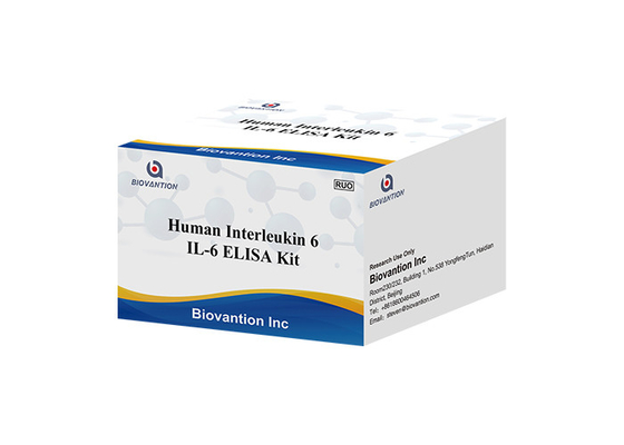 Zestaw testu ludzkiej interleukiny 6 RUO IL-6B-Cell Stimulatory Factor 2 BSF-2 IFNB2