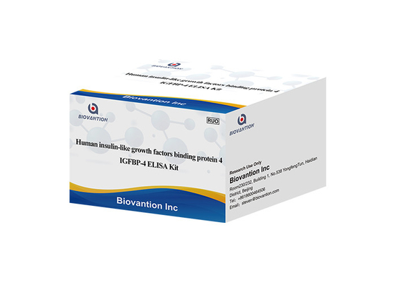 Zestaw Mechano Growth Factor MGF ELISA IGF-1 Test insulinopodobnego czynnika wzrostu 1