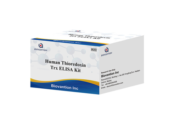 Human Trx Thioredoxin ELISA Zestaw testu tioredoksyny RUO Test Kit