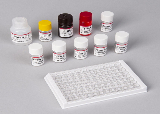 Zestaw Mechano Growth Factor MGF ELISA IGF-1 Test insulinopodobnego czynnika wzrostu 1