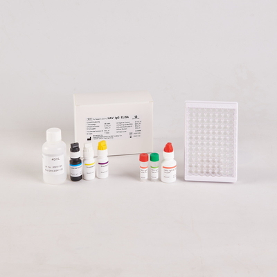 Human TNF-α Elisa Kit dla RUO Test Kit/Human tumor necrosis factor Elisa Kit