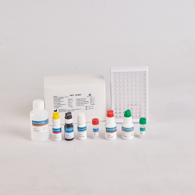 Human PTH Elisa Kit/Human Parathyroid Hormone Elisa Kit dla RUO z 96 badaniami