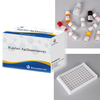 Badanie ELISA na Helicobacter pylori Antigen H.pylori Ag ((Kwanytatywne)