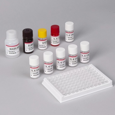 IL-6 Interleukin 6 Elisa Test Kit z czasem badania 2-3 godziny Biovantion Serum / Format plazmy 18 miesięcy Czas trwania