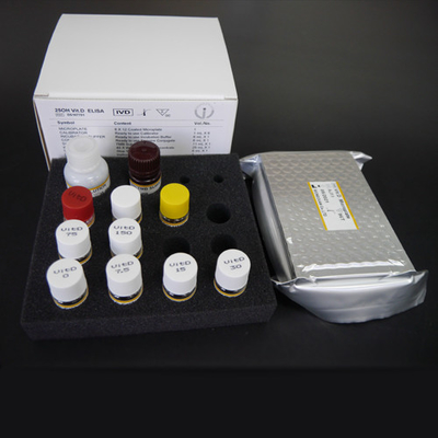 25-OH Witamina D Elisa Test Kit Detekcja medyczna Wysoka precyzja Wydajny