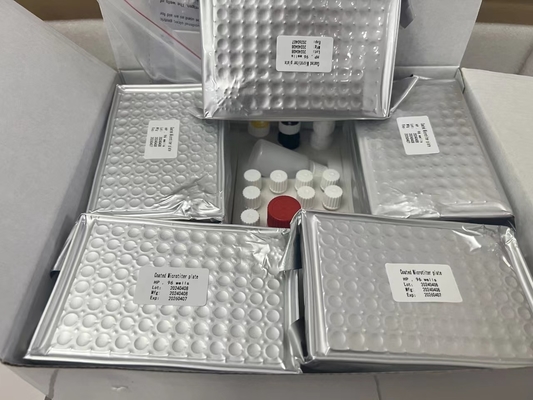 H zestaw badawczy Pylori ELISA 480test/kit wyniki zestawu badawczego Elisa Screening Kit
