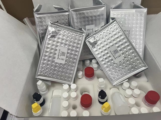 H zestaw badawczy Pylori ELISA 480test/kit wyniki zestawu badawczego Elisa Screening Kit