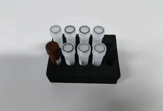 45 min Standardowy reaktant Taq DNA polimerazy PCR Endo / aktywność egzonukleazy przetestowane przechowywanie w temperaturze 2-8.C