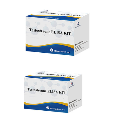 Męski hormon płciowy Testosteron Hormon ilościowy Elisa Test Kit Do Diagnozy