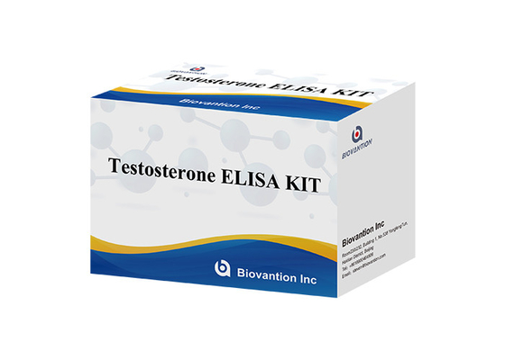 Męski hormon płciowy Testosteron Hormon ilościowy Elisa Test Kit Do Diagnozy