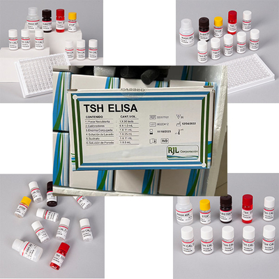 Wysoka dokładność badań na pacjentach hormonu stymulującego tarczycę TSH Thyrotropin Elisa Test Kit