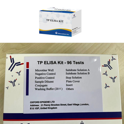 /Infekcja mężczyzny i kobiety /Wysoki poziom syfilisu /TP Ab /Antyciała ELISA