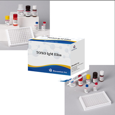 Szpitale, laboratoria, kliniki używają wysokiej dokładności Toxo IgM ELISA TEST KIT